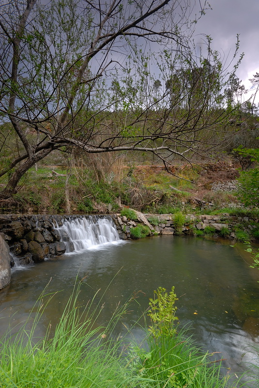 DSC_0214.JPG
