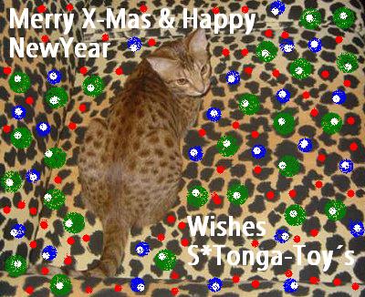 X-mas card from S*Tonga-Toy's OCI 2006