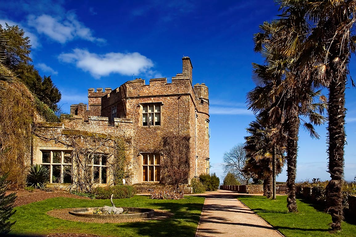 Dunster Castle ~ house and palm trees (2080)