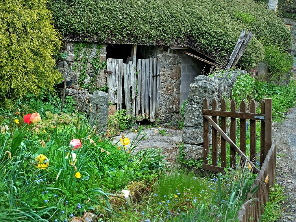 Shed and gate, Lustleigh