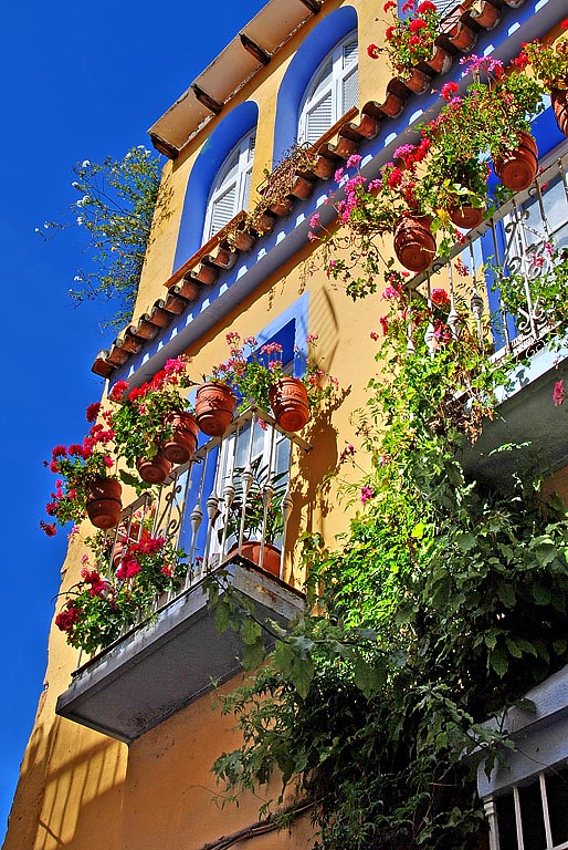 Pots and colours