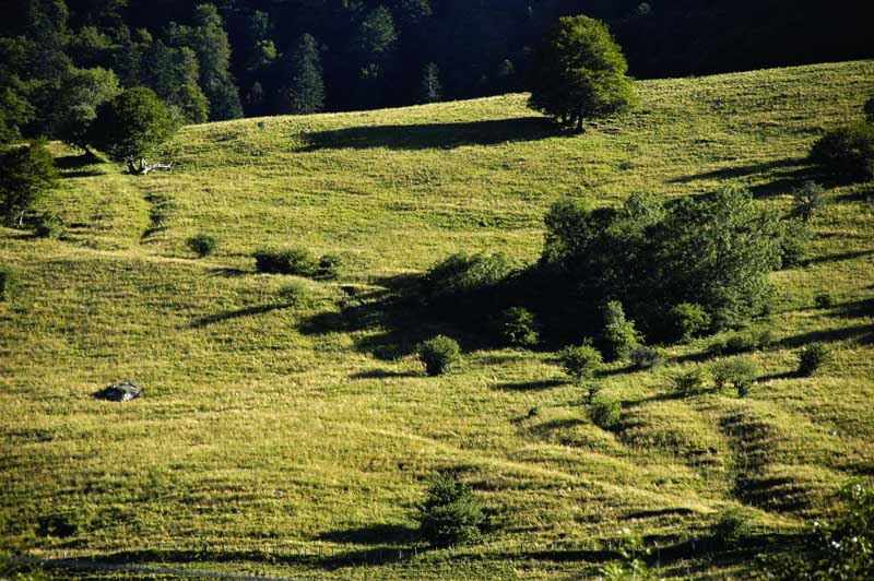 Paysage du cantal