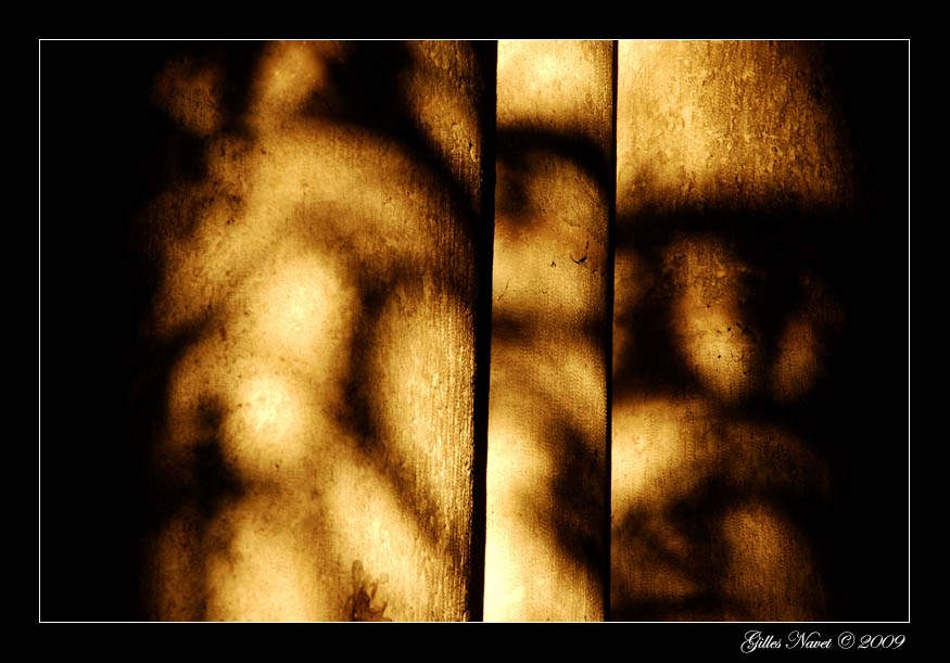 24/01/09 - Les piliers du chaos