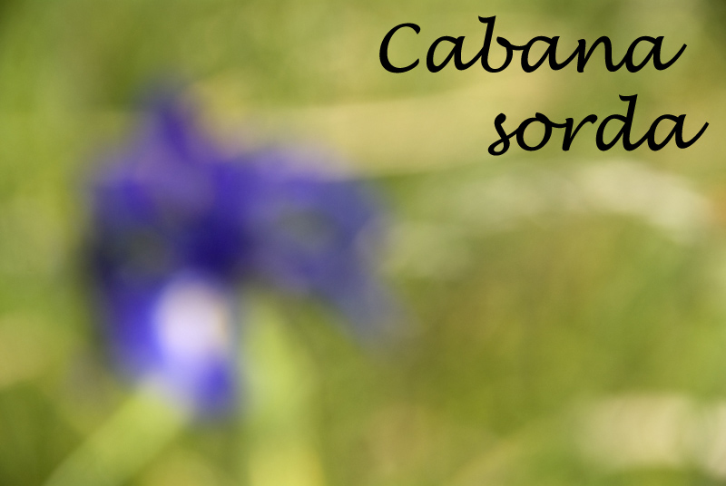 Cabana Sorda