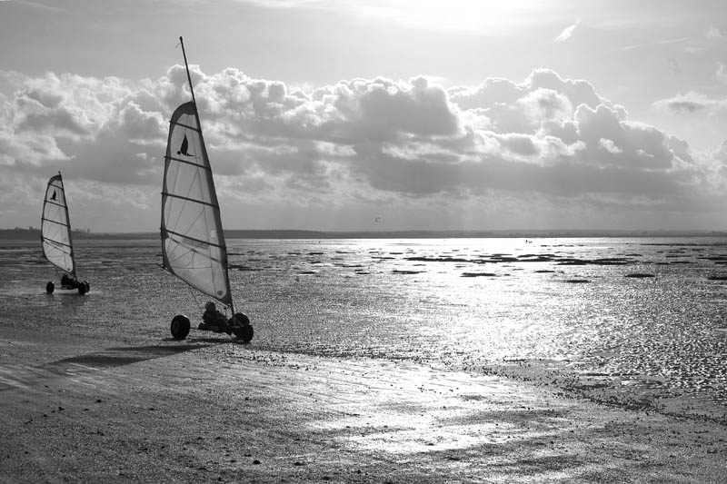 In the wind