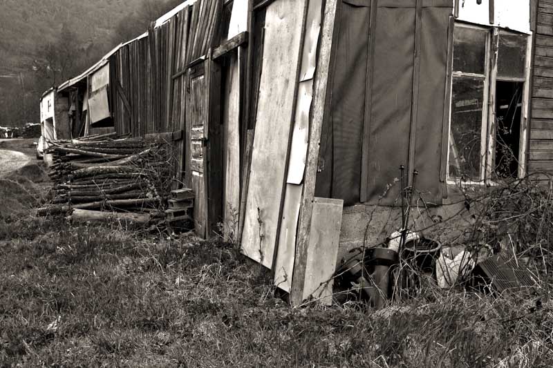 Cabane