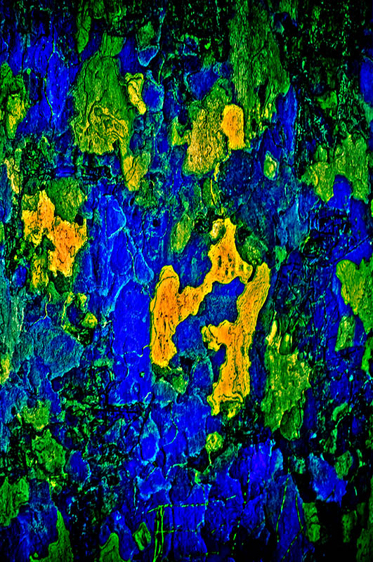 Arbre straction