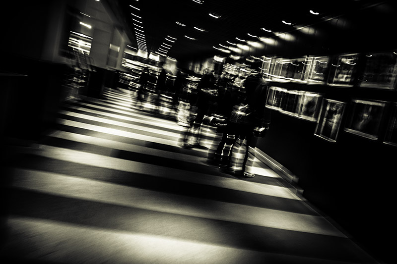 Picture of an exhibition