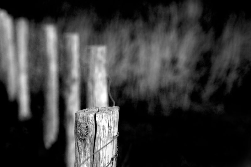 11/11/06 - La dernire frontire