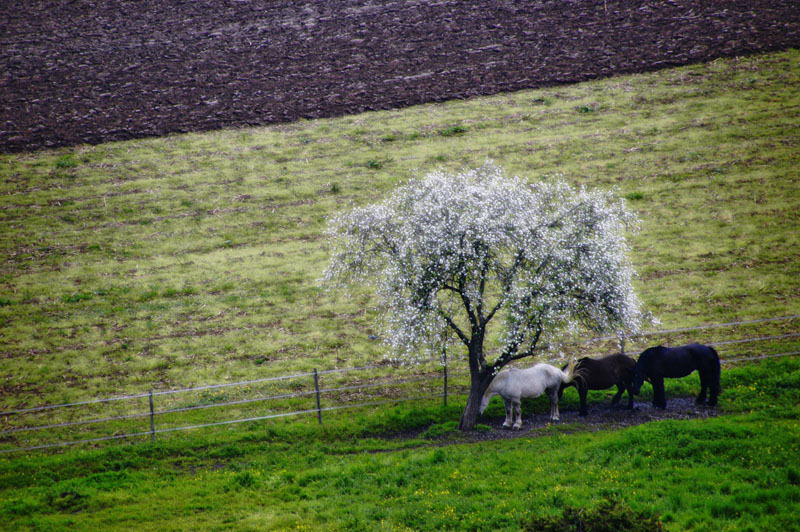 29/04/07 - 3 under 3