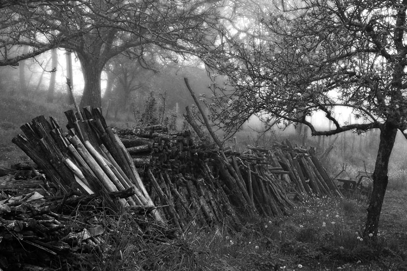 Paysage de Dordogne