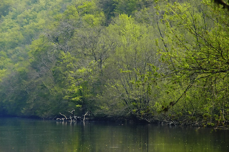Paysage de Dordogne