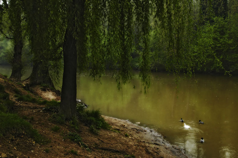 Saint Leon sur vezere