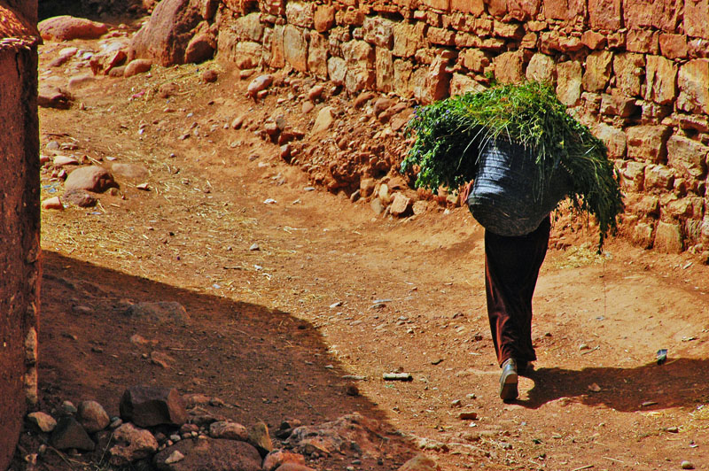 People from Anemiter