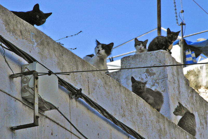 Kasbah des oudaias - The gang