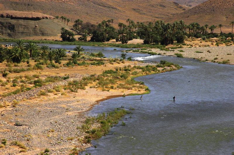 Oued Draa