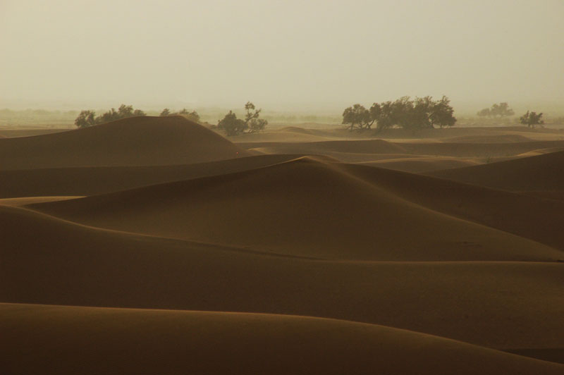 Sand Man