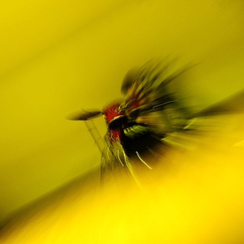 11/02/08 - Boom Boom