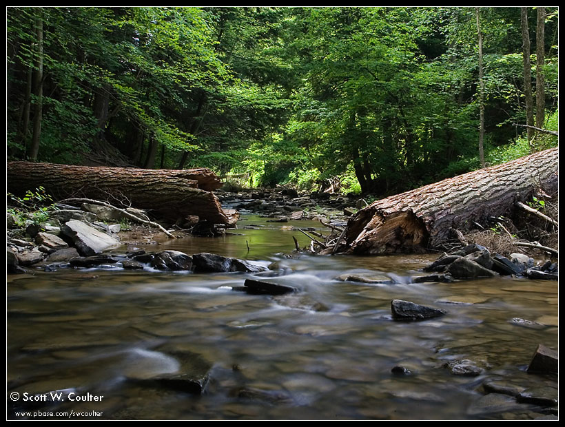 Salt Springs State Park, PA