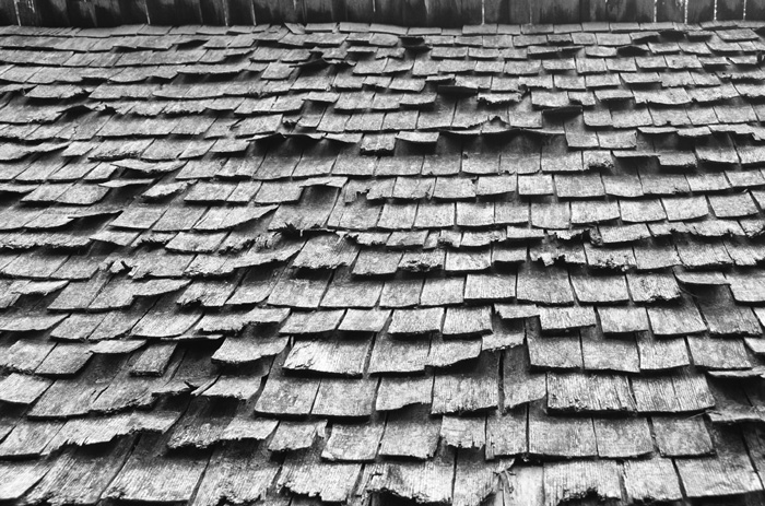 Shingle Roof