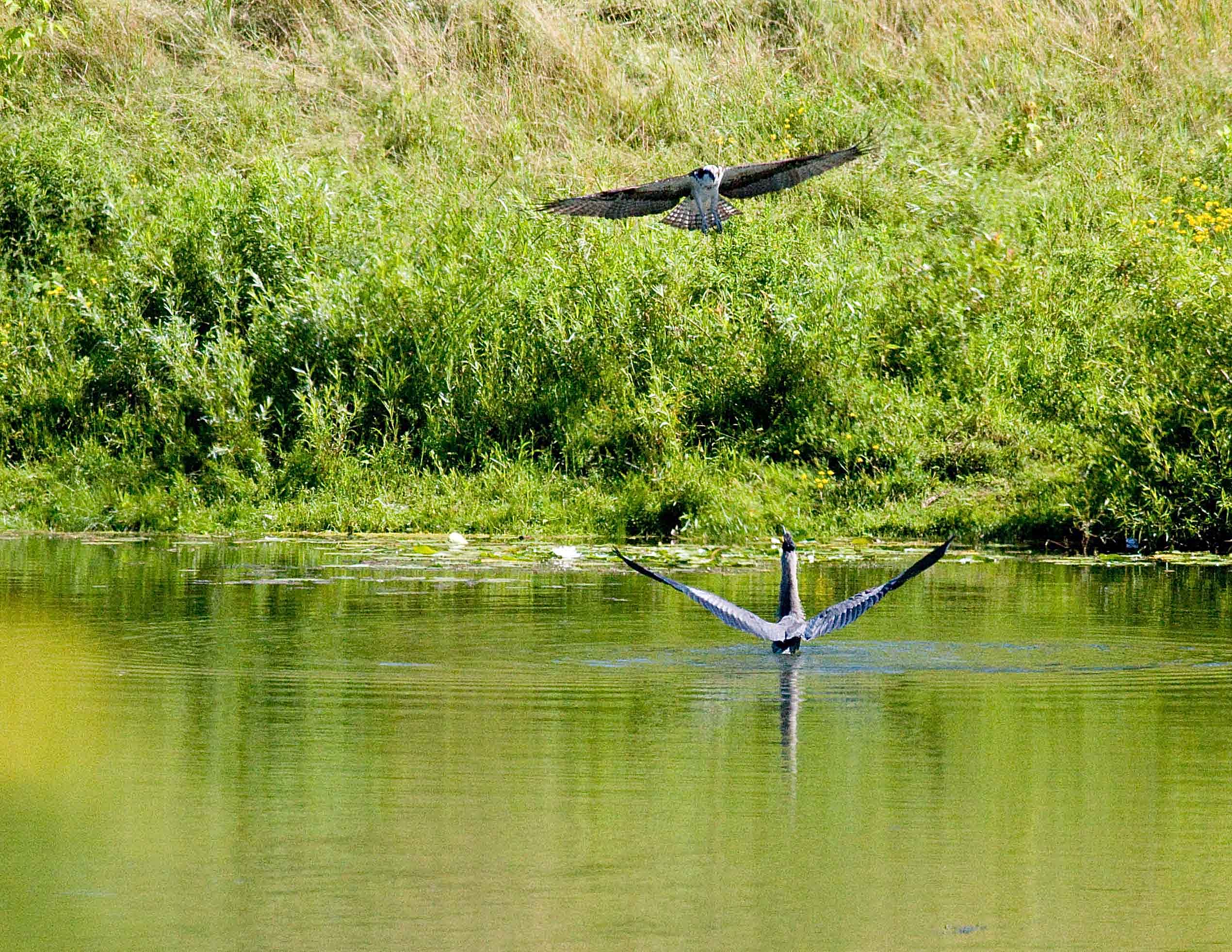 cropped IMG_0820.jpg