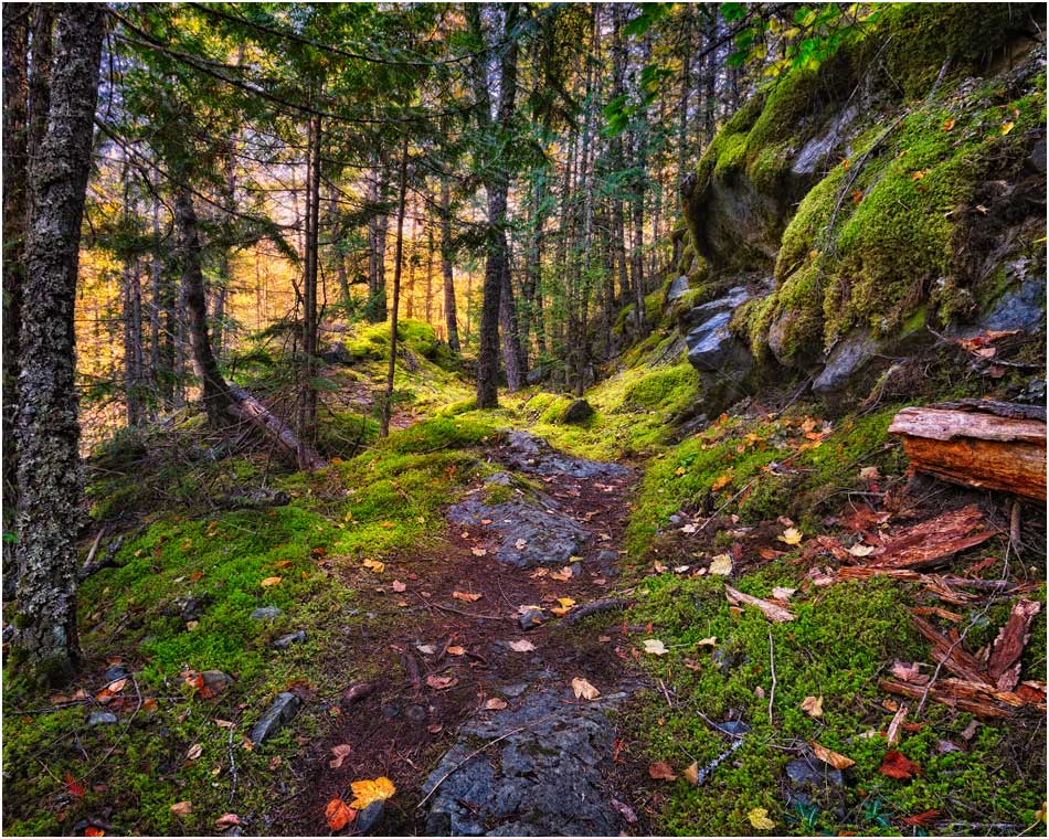 The Flume Trail