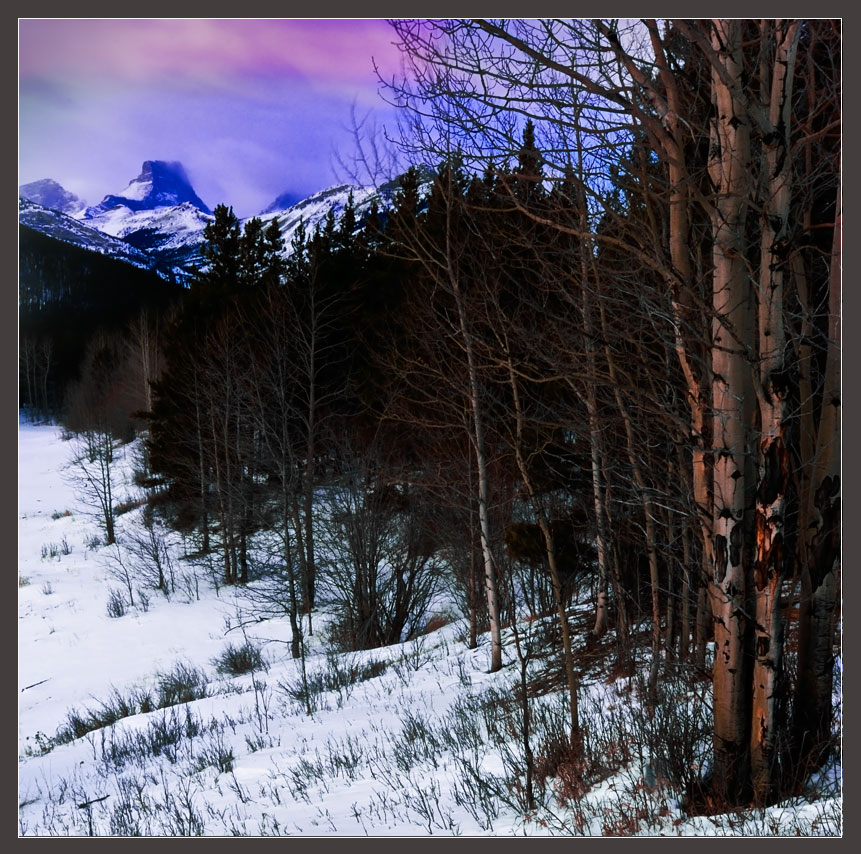 A Pink And Blue Morning