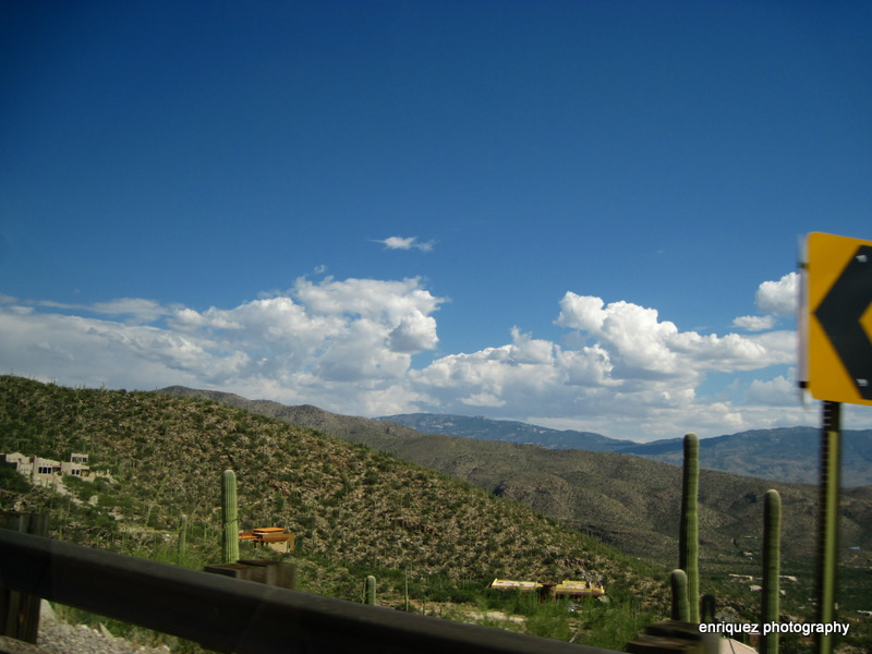 ON MT. LEMMON