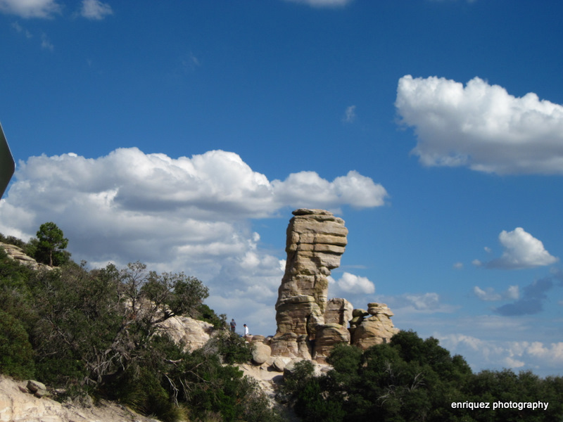 ON MT. LEMMON