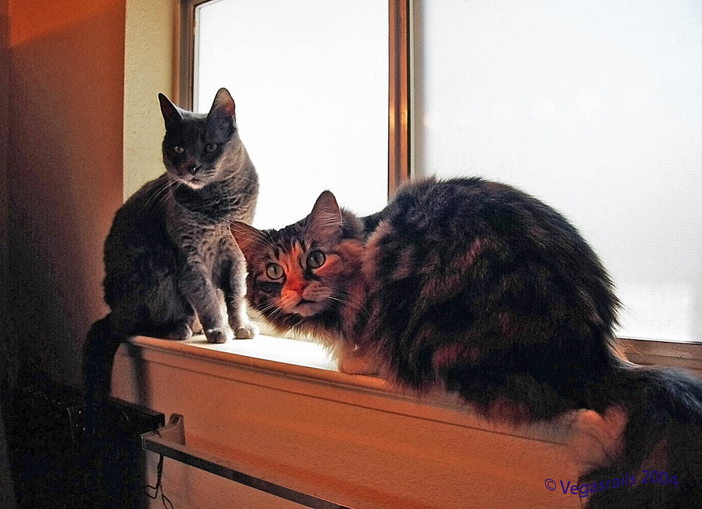 The girls