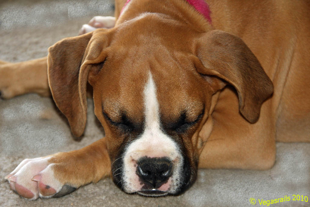 Sleepin Addie