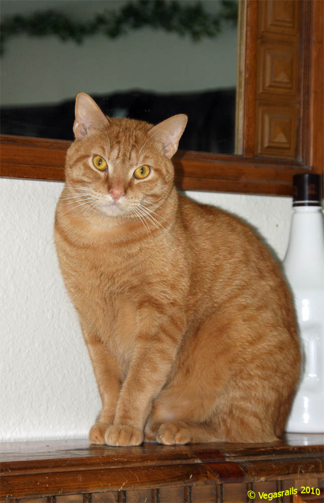 Henry pose