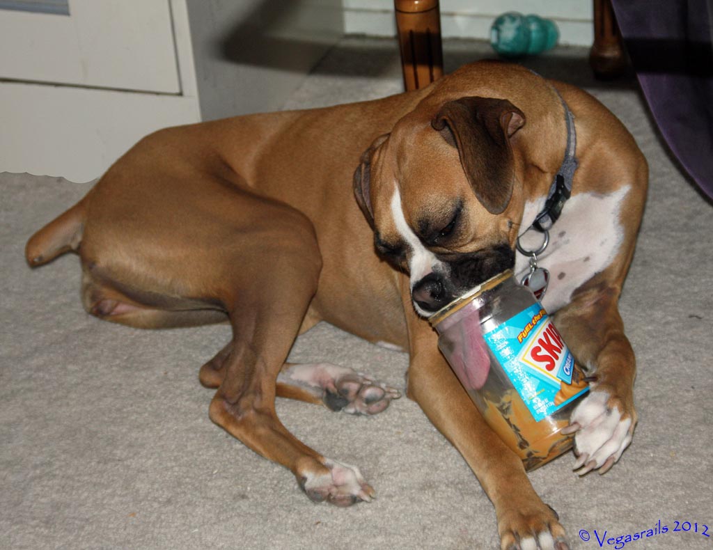Addie and skippy