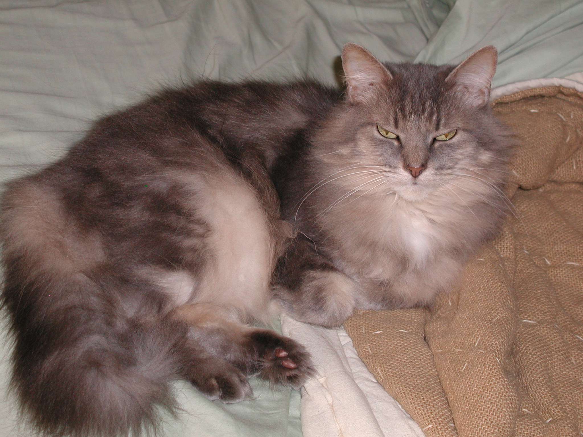 Charlie (relaxing)