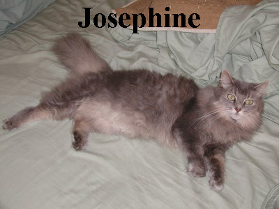Josiphine.jpg