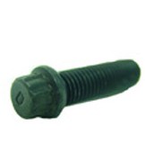 WGP ASA Retaining Screw