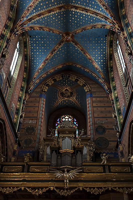 The main organ