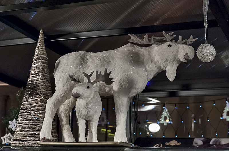 Festive reindeer