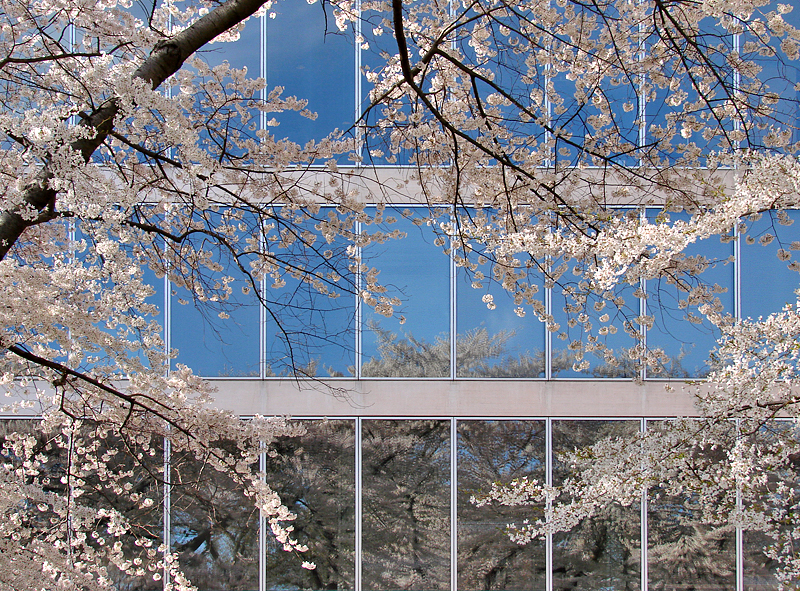 Spring, National Gallery East Wing
