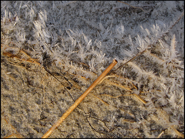 Frost on the beach.jpg