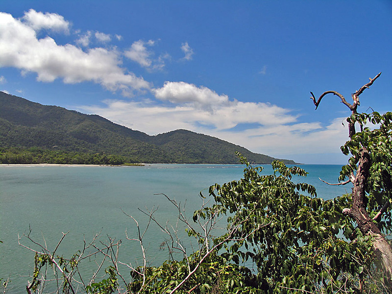 Cape Tribulation.jpg