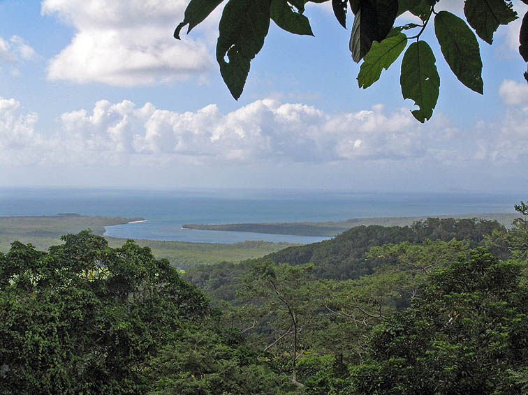 Daintree River delta from Alexandra Range.jpg