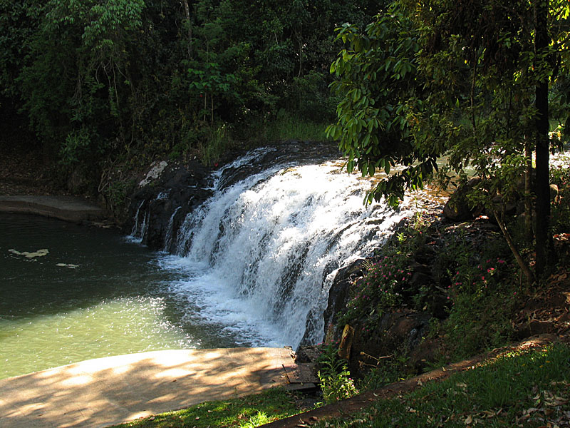 Millaa Millaa falls.jpg