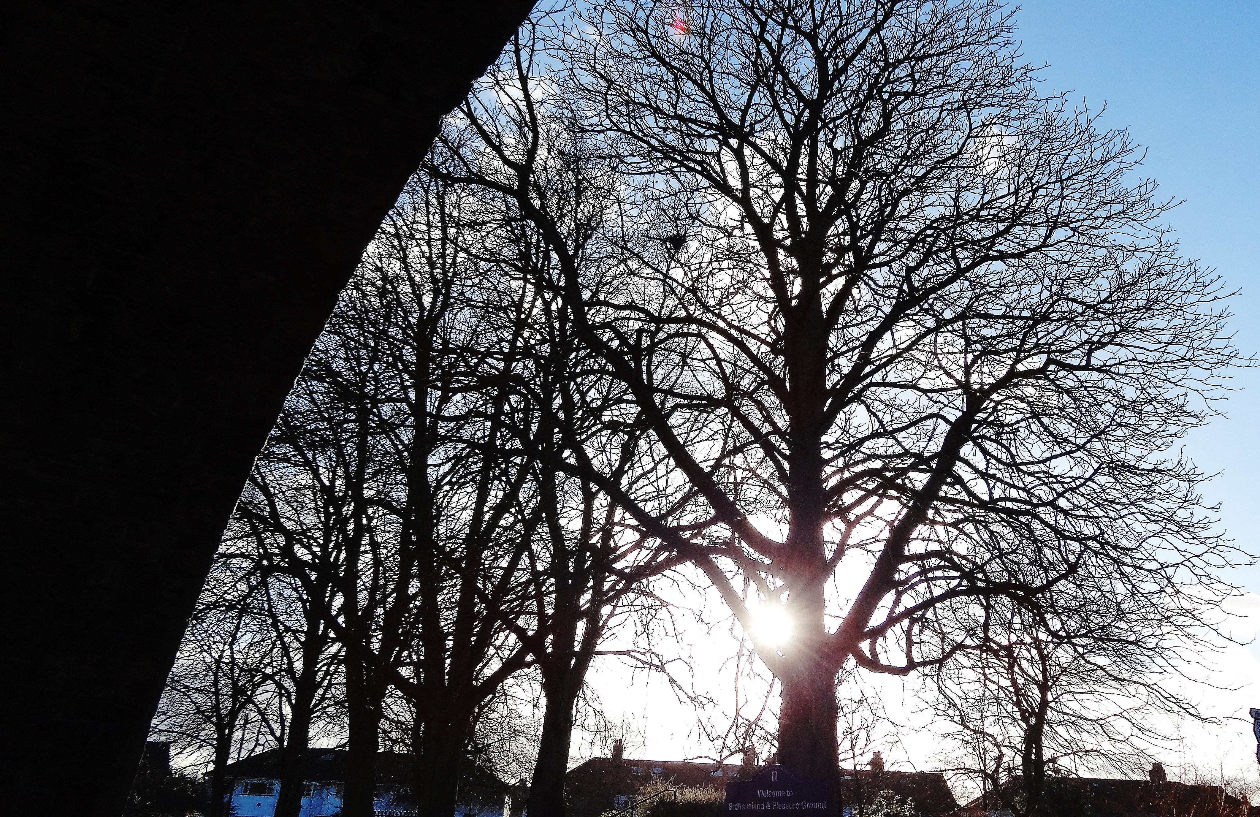 DSC00827.JPG