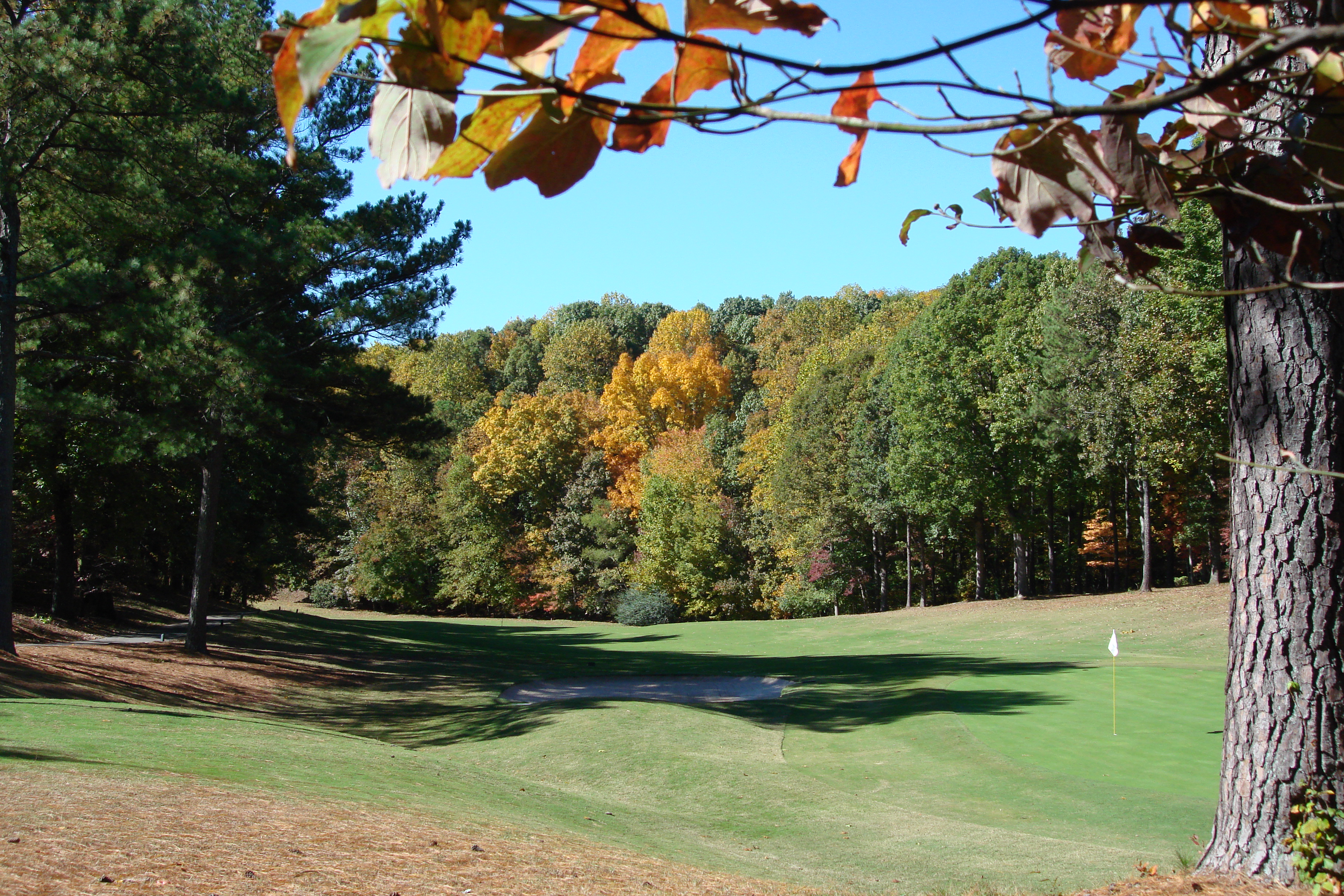 golf course KennesawGA.jpg