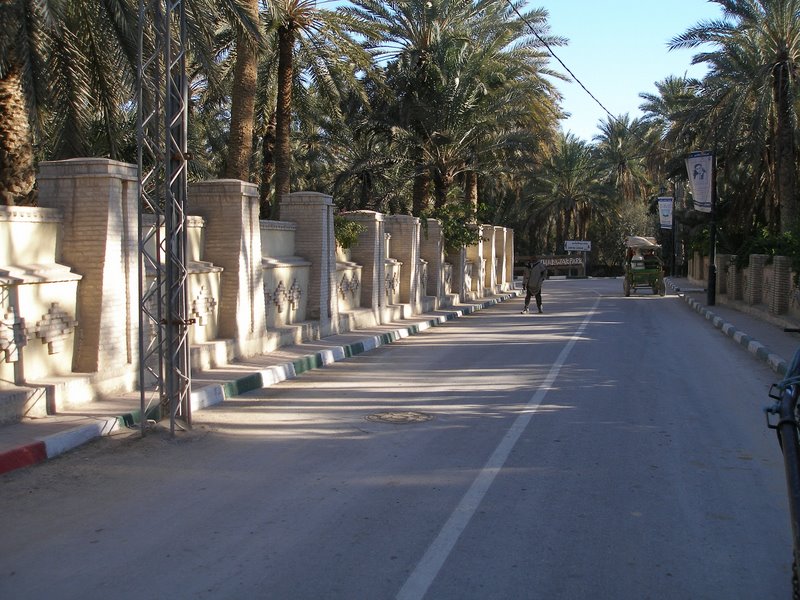 Nice shady avenue in Tozeur