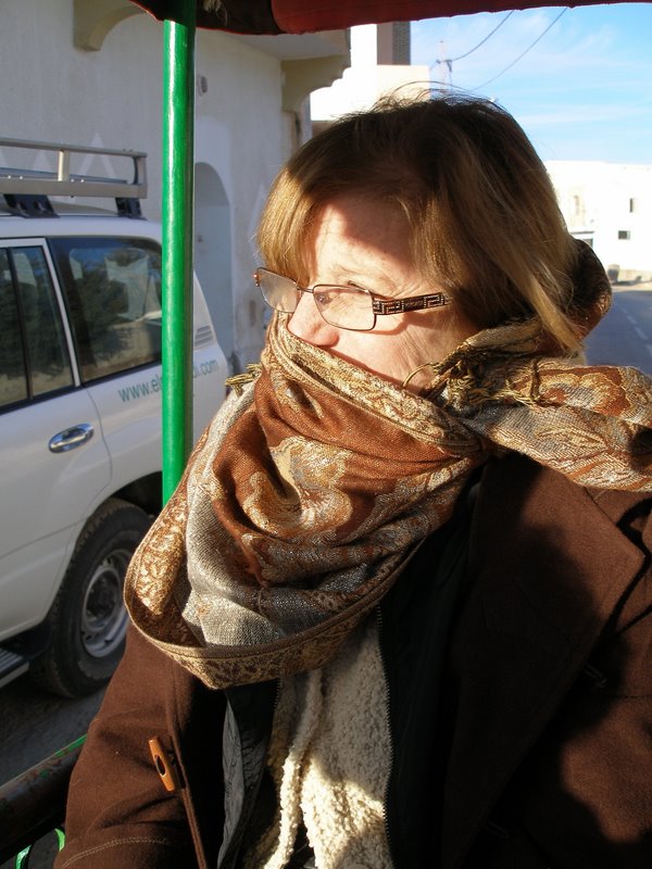 Tozeur buggy ride - Barb swaddled in scarf
