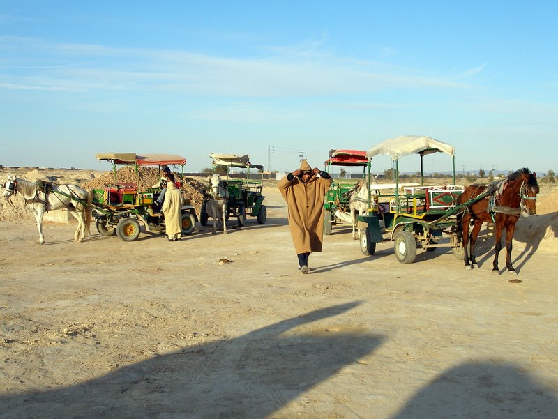 Our drivers wait while we visit the Tozeur brick works