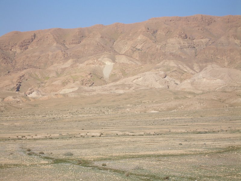 Seen from the Red Lizard train