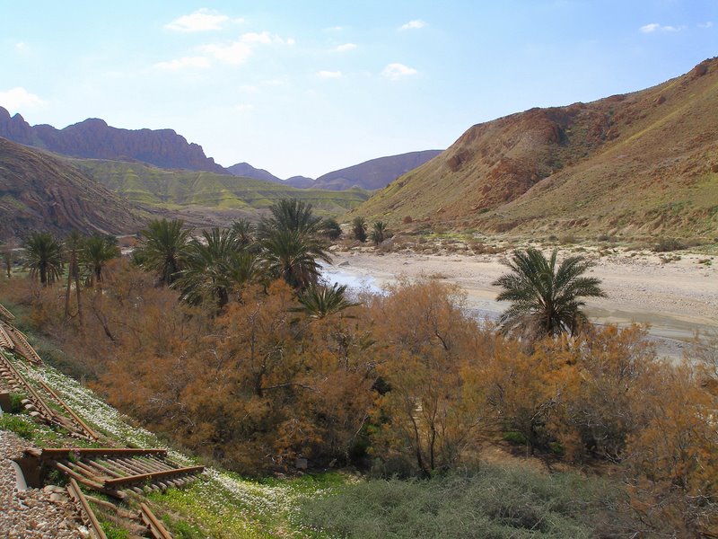 Superb scenery, Red Lizard train excursion